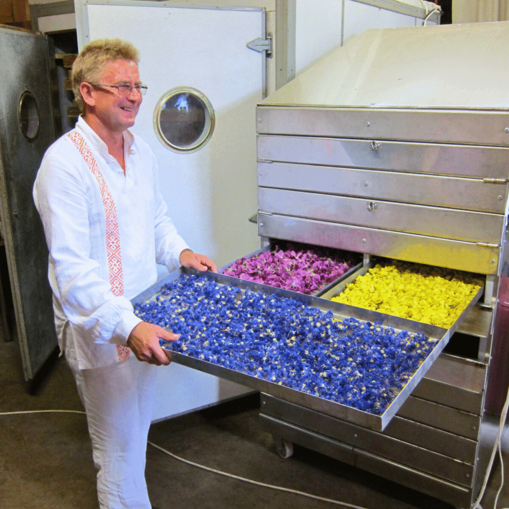 Ravimtaimede kuivatid