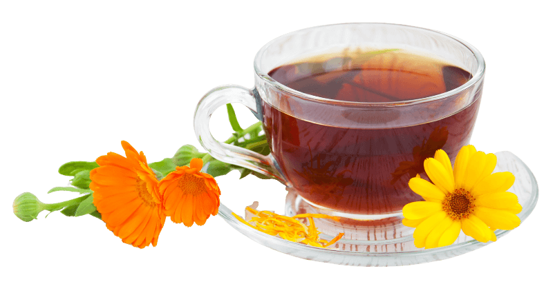 Energiatalu_teetseremooniad